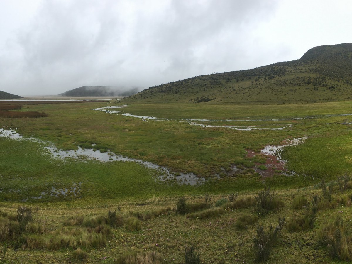 Cotopaxi National Park