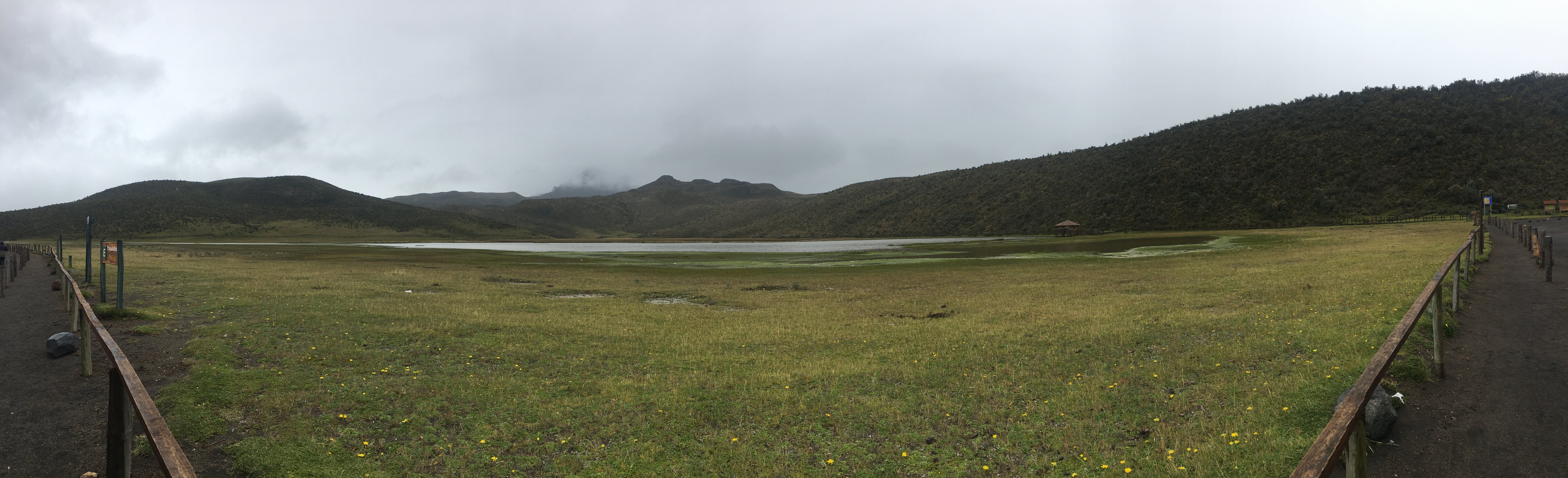 Cotopaxi Wetlands 2
