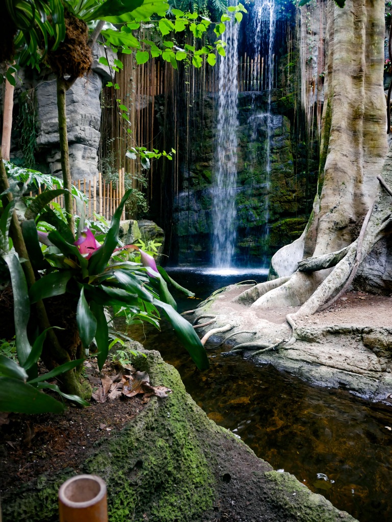 Waterfall in the Lied Jungle at Omaha's Henry Doorly Zoo and Aquarium.
