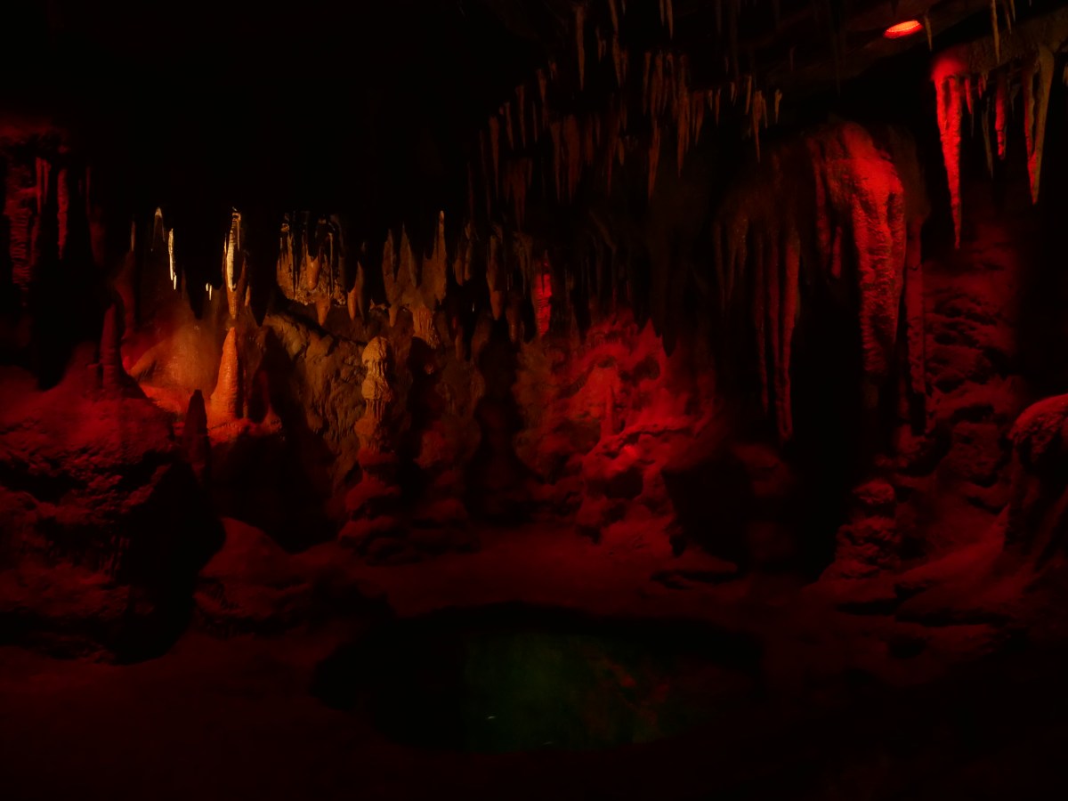 Kingdoms of the&nbsp;Night